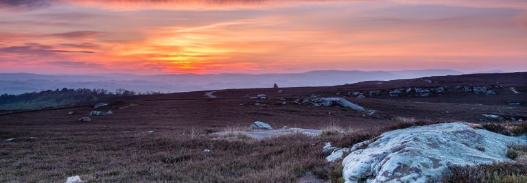 Heather landscape